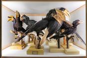 museum fur naturkunde berlin 5-2025 1303